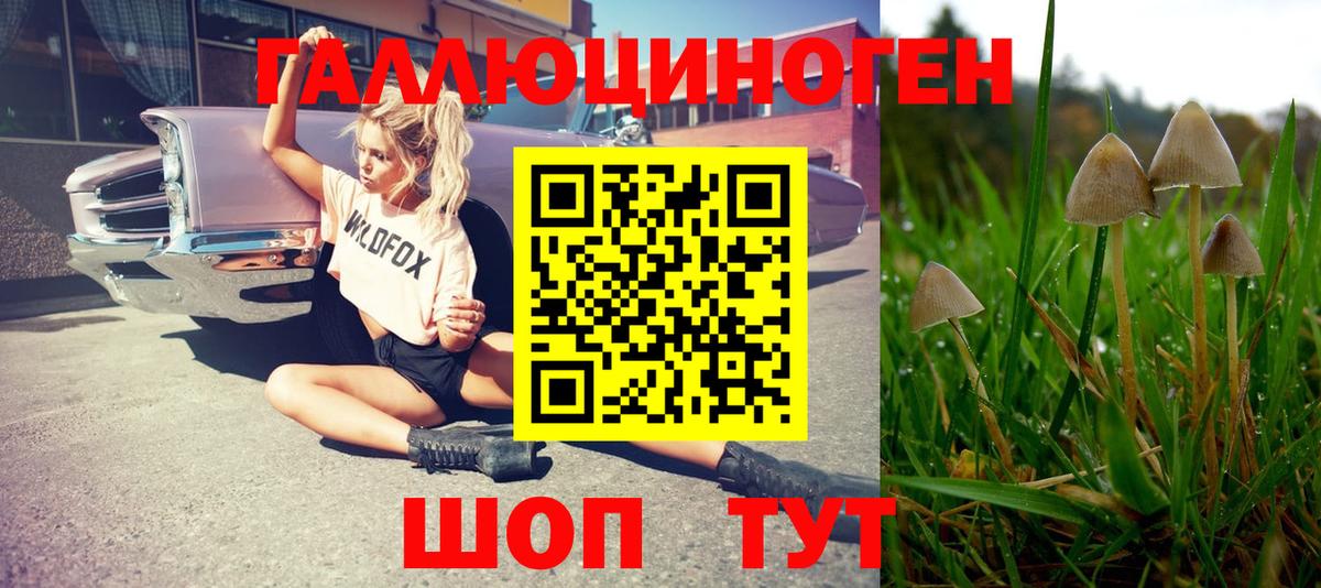 Ленинск-Кузнецкий  Псилоцибиновые грибы Magic Shrooms  Вход с VPN  Псилоцибиновые грибы GOLDEN TEACHER 